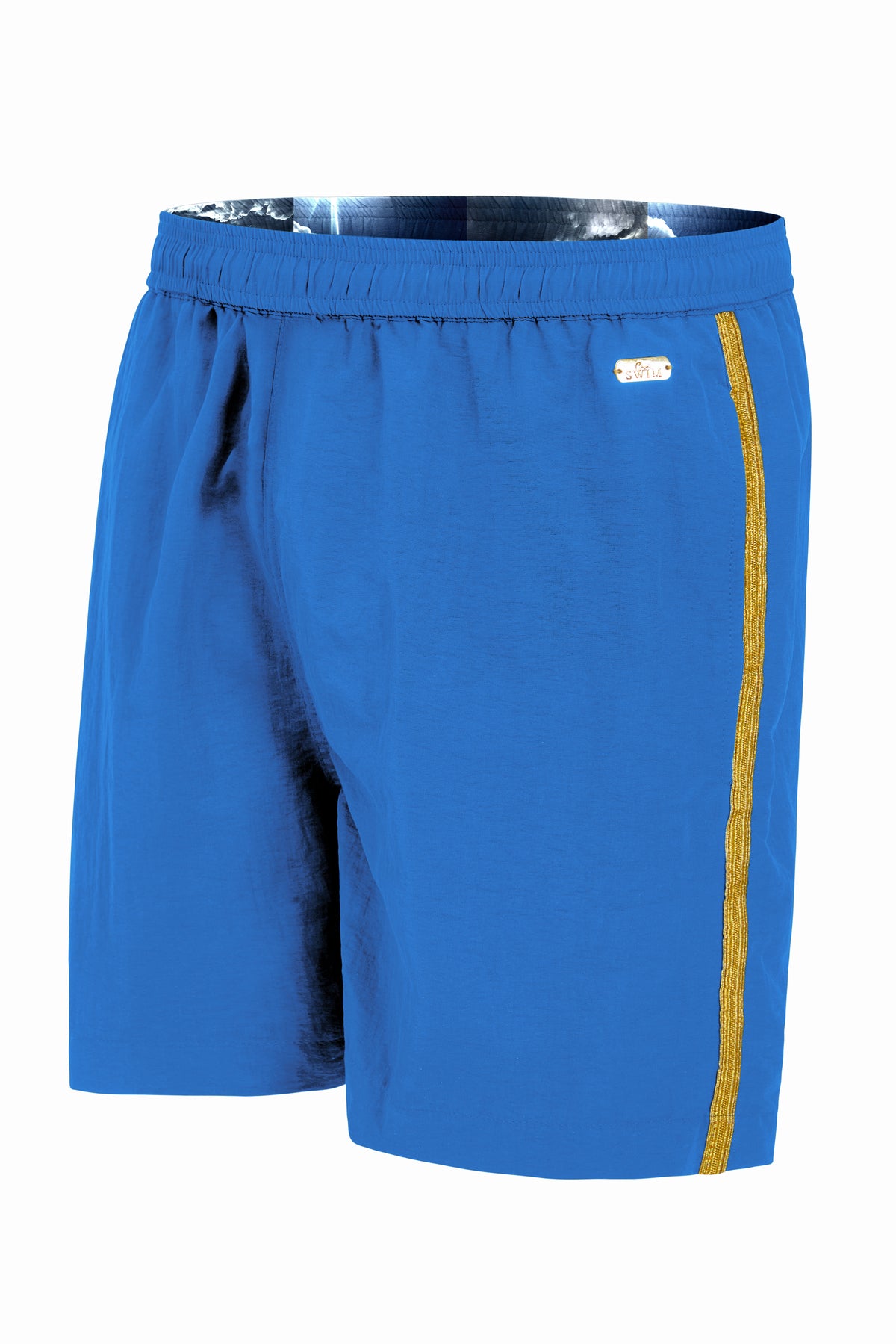 Window Seat Swim Trunk | Reversible